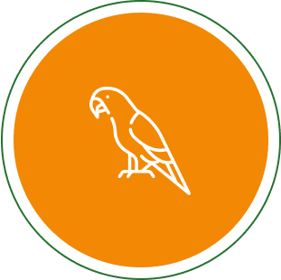 Minimalist white parrot icon on an orange circular background.